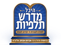 כולל מדרש תלפיות